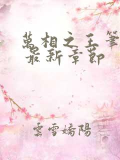 万相之王笔趣阁 最新章节