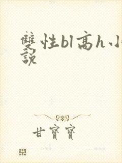 双性bl高h小说