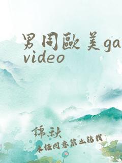男同欧美gay video