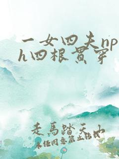 一女四夫np高h四根贯穿
