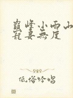 巅峰小雨山里汉宠妻无度