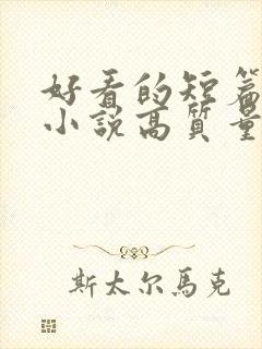 好看的短篇言情小说高质量文笔好