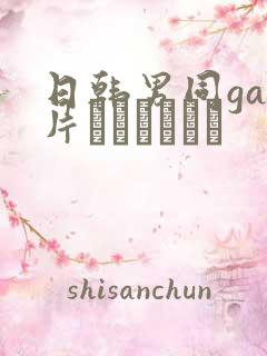 日韩男同gay片あなたはワン