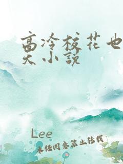 高冷校花也有今天小说