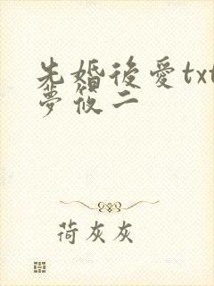先婚后爱txt梦筱二