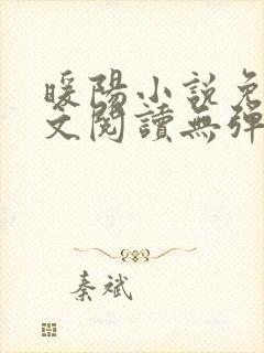 暖阳小说免费全文阅读无弹窗