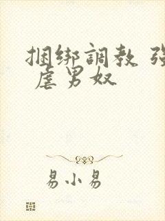 捆绑调教 强制 虐男奴