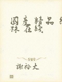 国产 精品 丝袜 在线