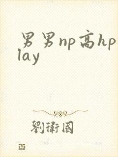 男男np高hplay