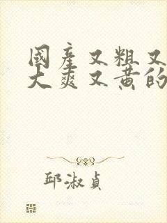 国产又粗又猛又大爽又黄的视频