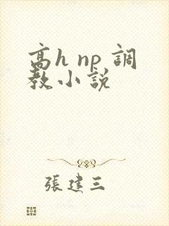 高h np 调教小说