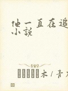 他一直在追初恋小说