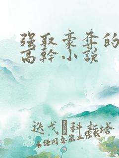 强取豪夺的男主高干小说