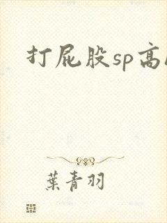 打屁股sp高h