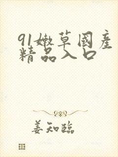 91嫩草国产丨精品入口