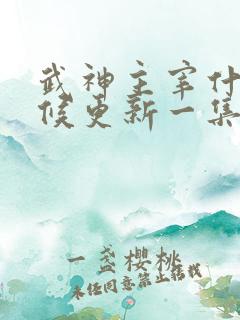 武神主宰什么时候更新一集