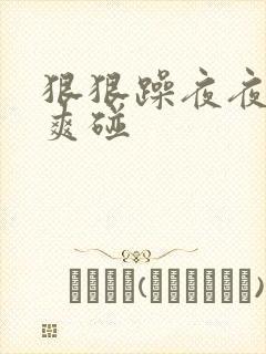 狠狠躁夜夜躁人爽碰