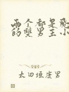 两个都是飞行员的双男主小说