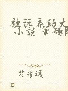 被玩弄的大小姐 小说 笔趣阁