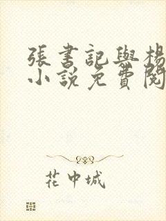 张书记与杨雨婷小说免费阅读