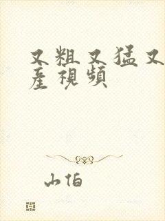 又粗又猛又黄国产视频