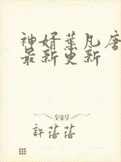 神婿叶凡唐若雪最新更新