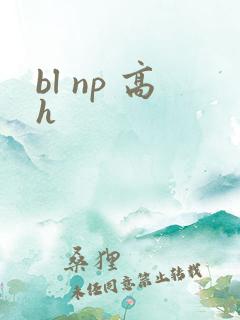 bl np 高h