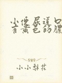 小便尿道口刺痛有黄色的脓水