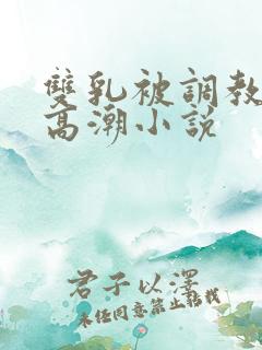 双乳被调教玩弄高潮小说