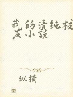 我的清纯校花女友小说