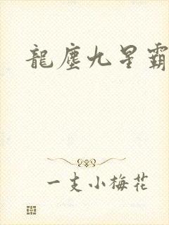 龙尘九星霸体诀