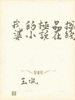 我的极品总裁老婆小说在线阅读