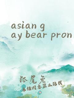 asian gay bear pron