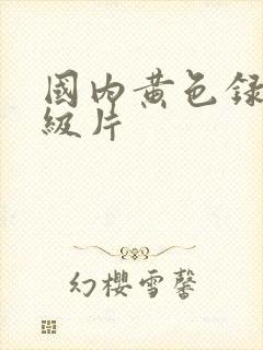 国内黄色录像一级片