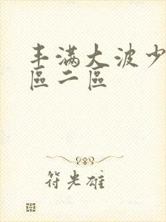 丰满大波少妇一区二区