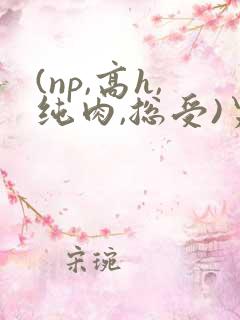 (np,高h,纯肉,总受)男男