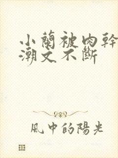 小兰被肉干高h潮文不断