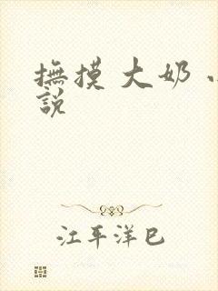 抚摸 大奶 小说