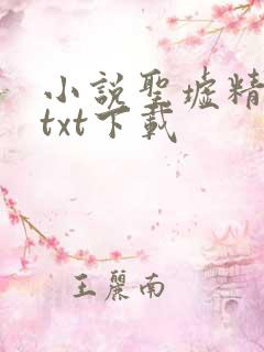 小说圣墟精校版txt下载