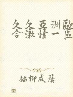 久久亚洲欧美综合激情一区