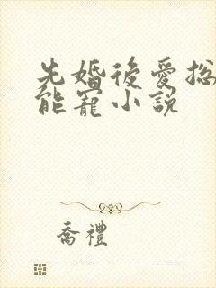 先婚后爱总裁太能宠小说