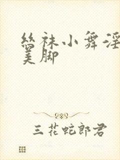 丝袜小舞淫美足美脚