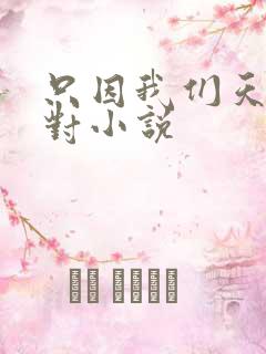 只因我们天生一对小说