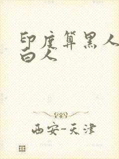 印度算黑人还是白人