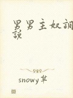 男男主奴调教小说