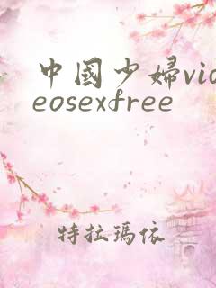 中国少妇videosexfree