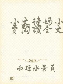 小文后妈小说免费阅读全文最新章节