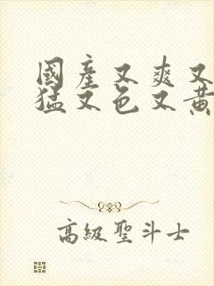 国产又爽又粗又猛又色又黄视频