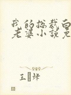 我的总裁白富美老婆小说免费阅读