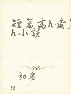 短篇高h黄暴辣h小说